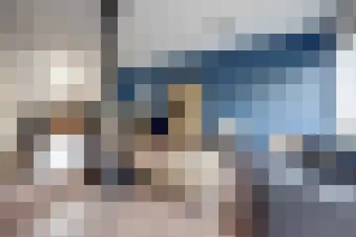 Het Korhoen 27 Dronten thumbnail 8