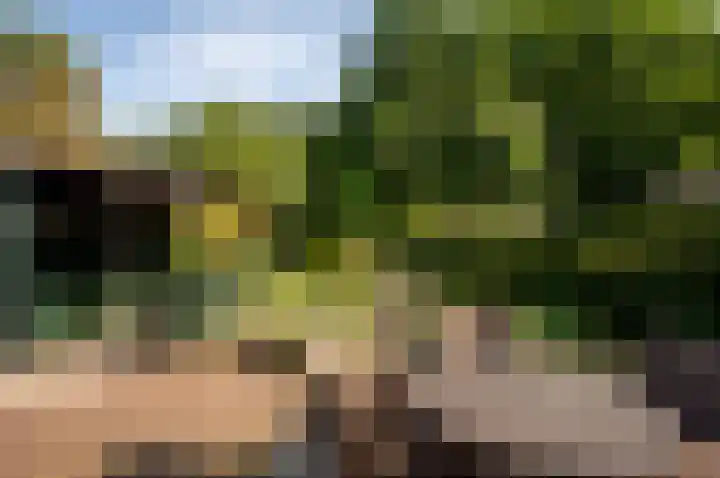 Het Korhoen 41 Dronten thumbnail 36