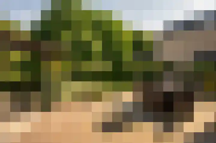 Het Korhoen 41 Dronten thumbnail 37