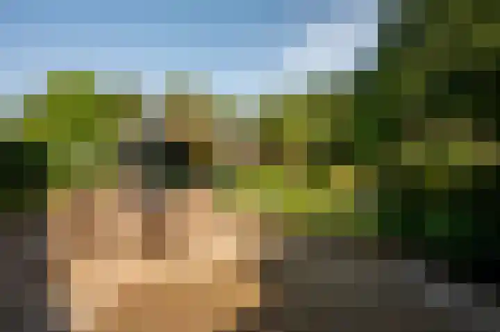Het Korhoen 41 Dronten thumbnail 38