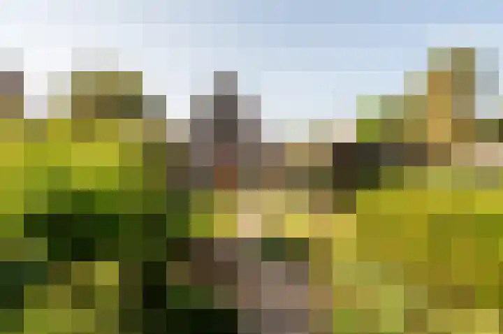 Het Korhoen 41 Dronten thumbnail 39