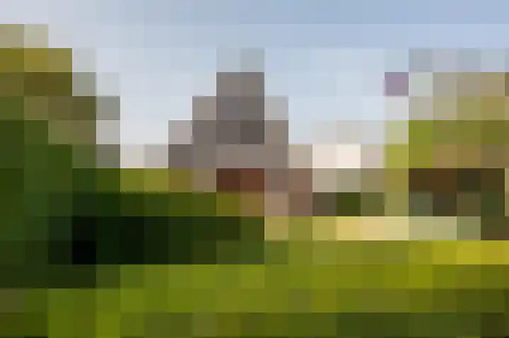 Het Korhoen 41 Dronten thumbnail 40
