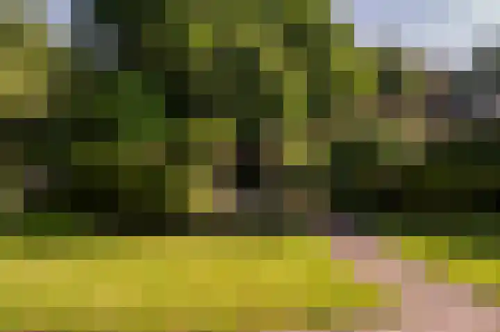 Het Korhoen 41 Dronten thumbnail 42