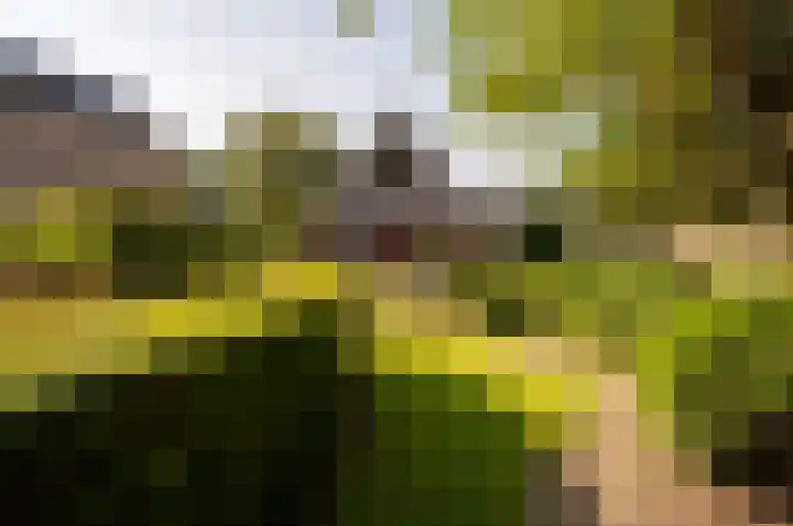 Het Korhoen 41 Dronten thumbnail 43