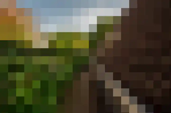 Het Korhoen 41 Dronten thumbnail 44