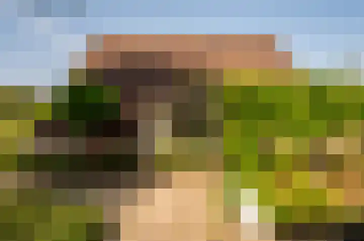 Het Korhoen 41 Dronten thumbnail 46