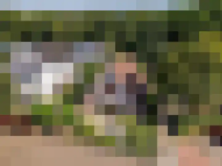 Het Korhoen 41 Dronten thumbnail 47