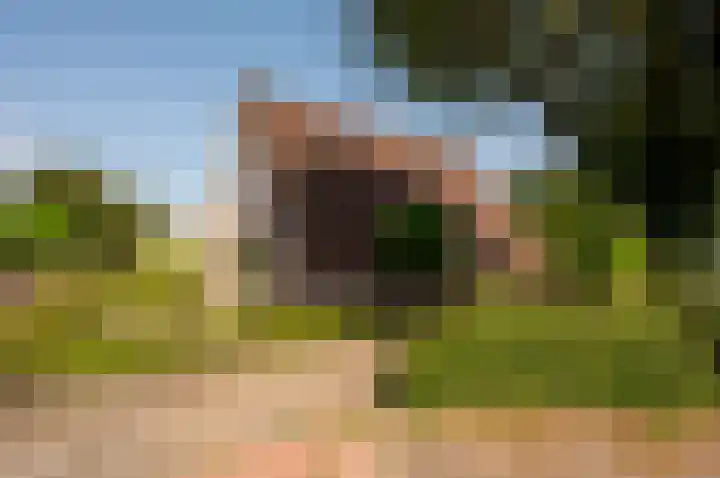 Het Korhoen 41 Dronten thumbnail 49
