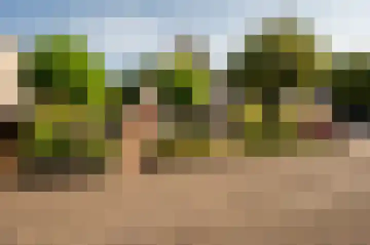 Het Korhoen 41 Dronten thumbnail 5