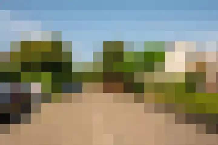 Het Korhoen 41 Dronten thumbnail 51