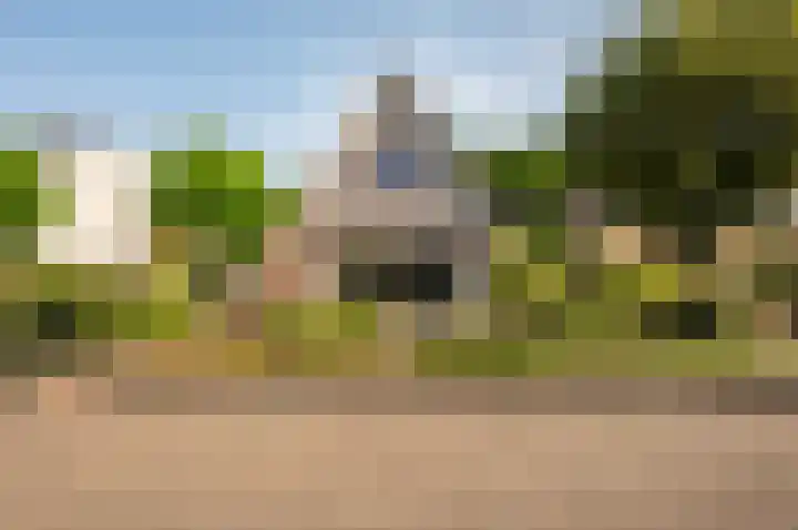 Het Korhoen 41 Dronten thumbnail 64