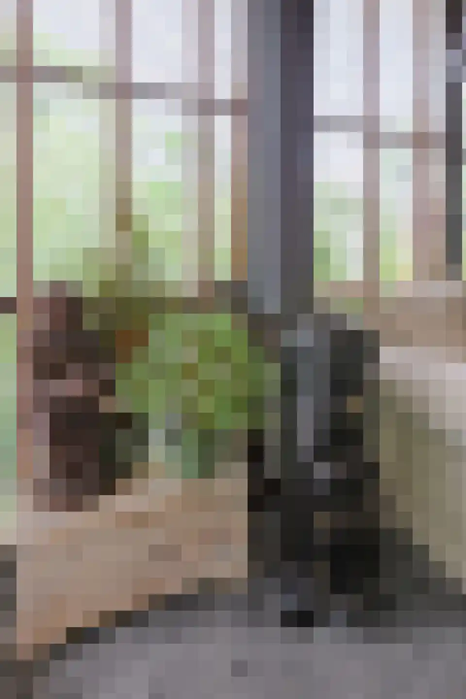 Het Korte Eind 1 22 De Kwakel thumbnail 14