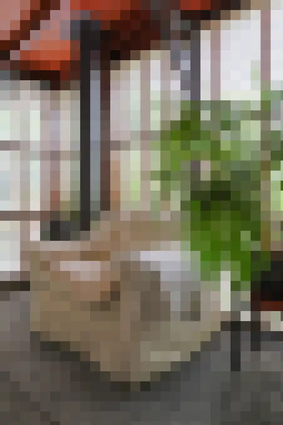 Het Korte Eind 1 22 De Kwakel thumbnail 15