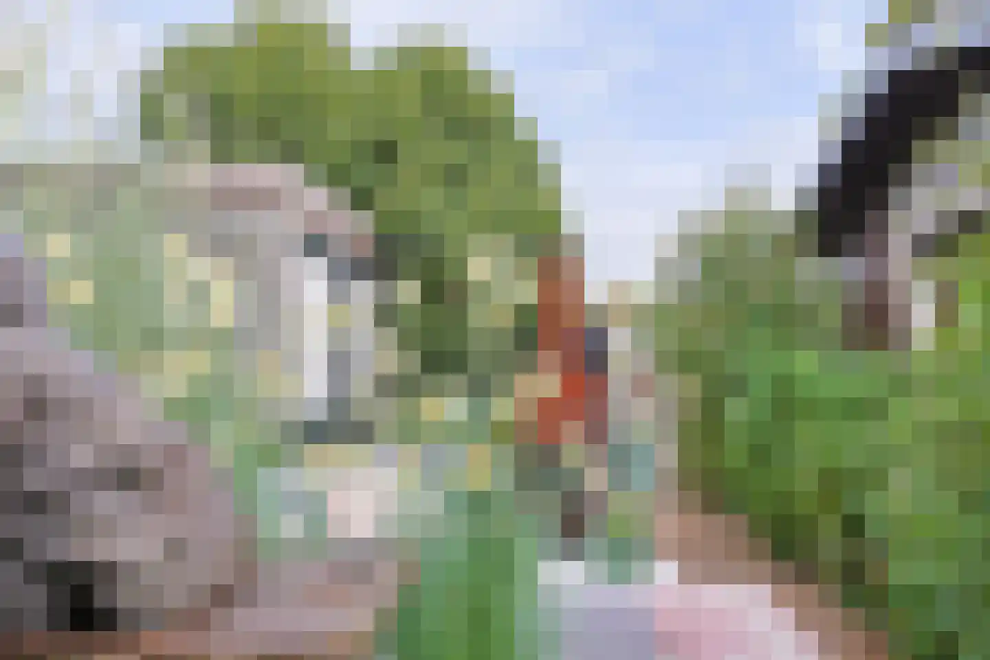 Het Korte Eind 1 22 De Kwakel thumbnail 26