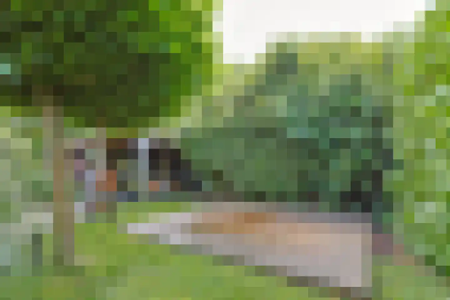 Het Korte Eind 1 22 De Kwakel thumbnail 28