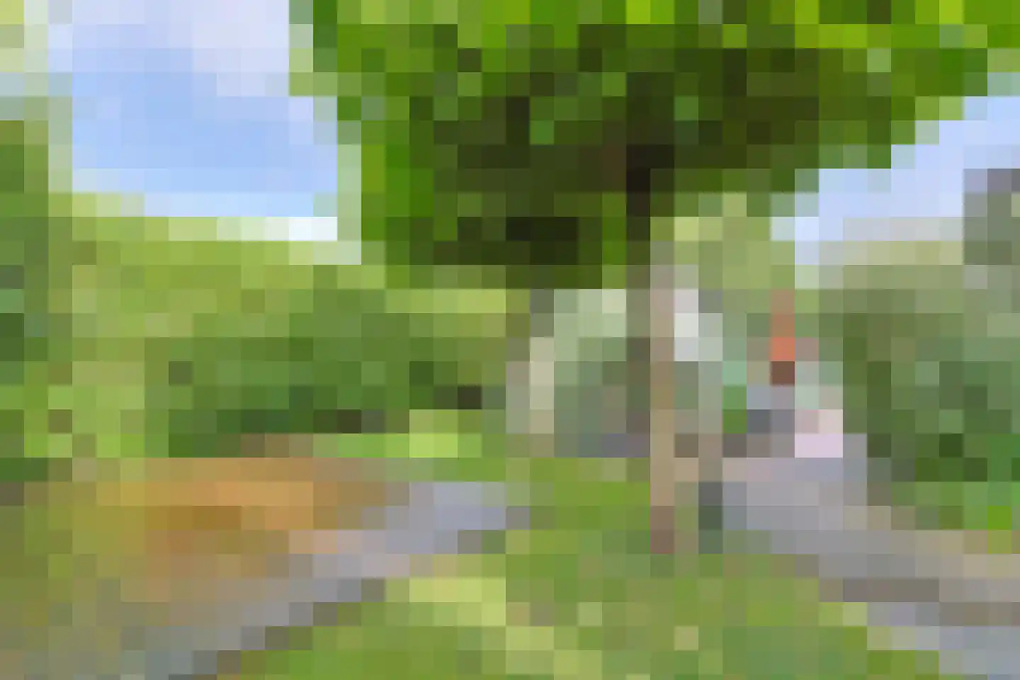 Het Korte Eind 1 22 De Kwakel thumbnail 29