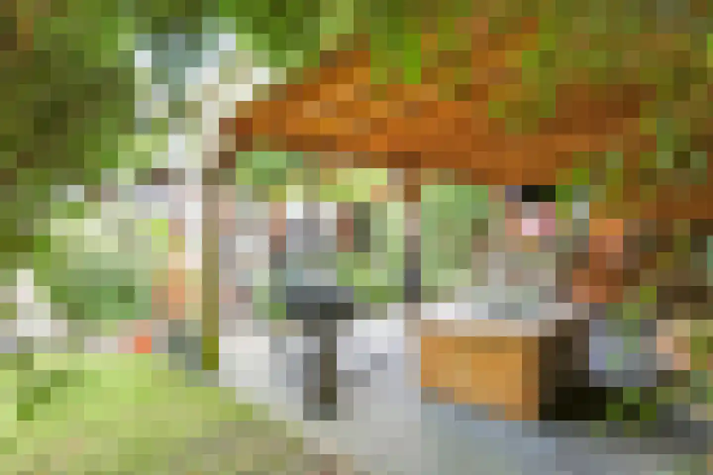 Het Korte Eind 1 22 De Kwakel foto 3