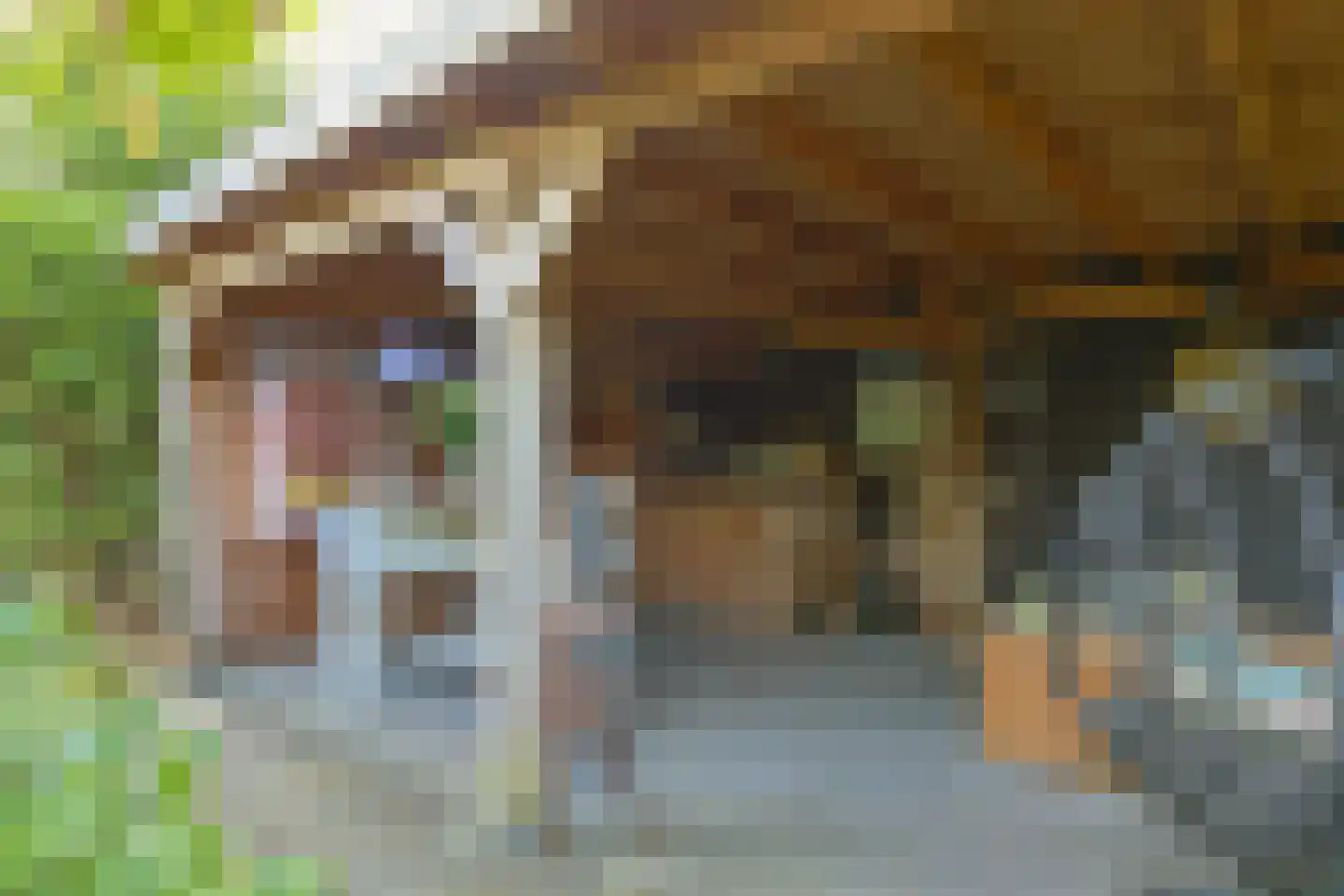 Het Korte Eind 1 22 De Kwakel thumbnail 30