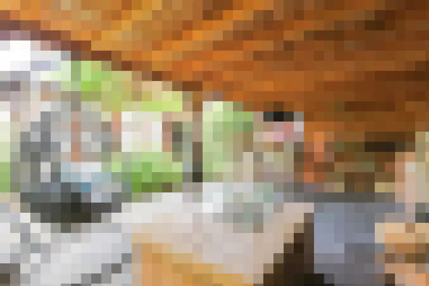 Het Korte Eind 1 22 De Kwakel thumbnail 32