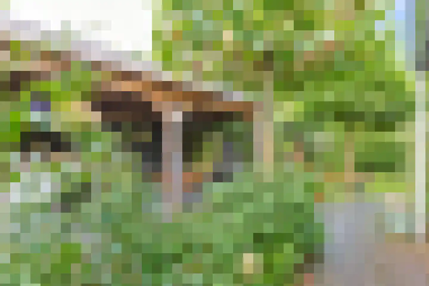 Het Korte Eind 1 22 De Kwakel thumbnail 34