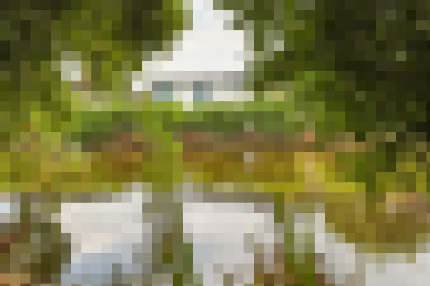 Het Korte Eind 1 22 De Kwakel thumbnail 35