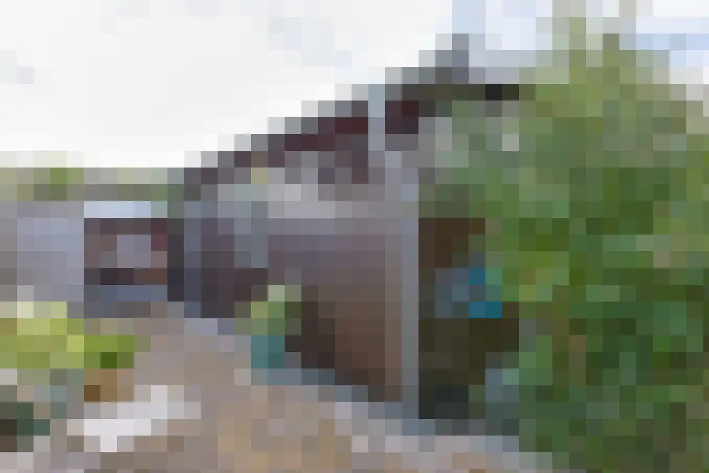 Het Korte Eind 1 22 De Kwakel thumbnail 36