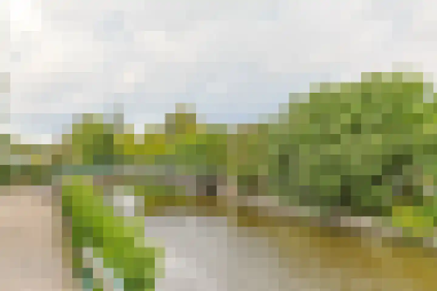 Het Korte Eind 1 22 De Kwakel thumbnail 39