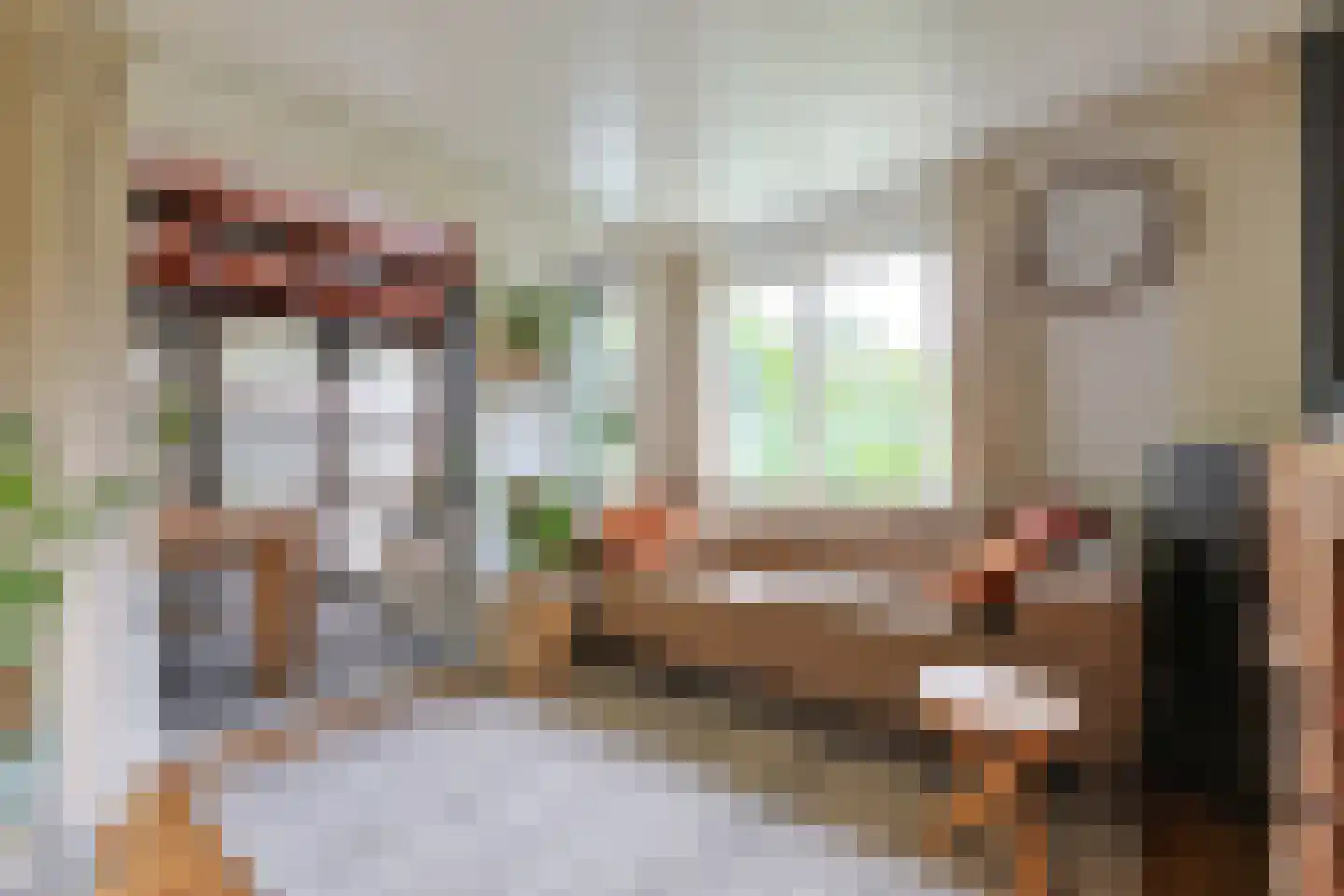 Het Korte Eind 1 22 De Kwakel thumbnail 4