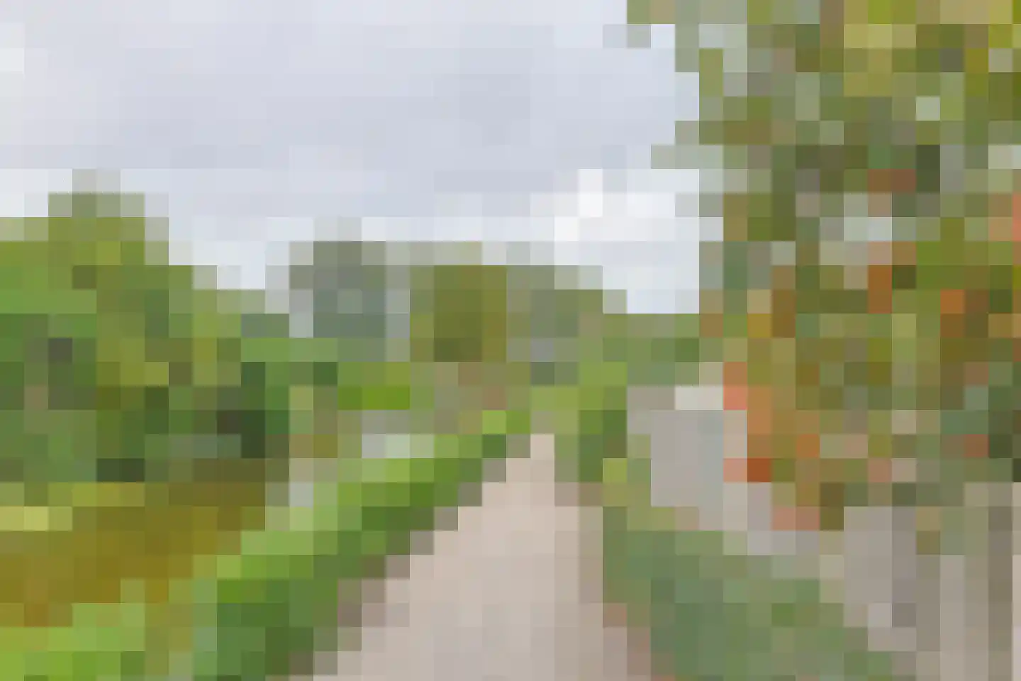 Het Korte Eind 1 22 De Kwakel thumbnail 5