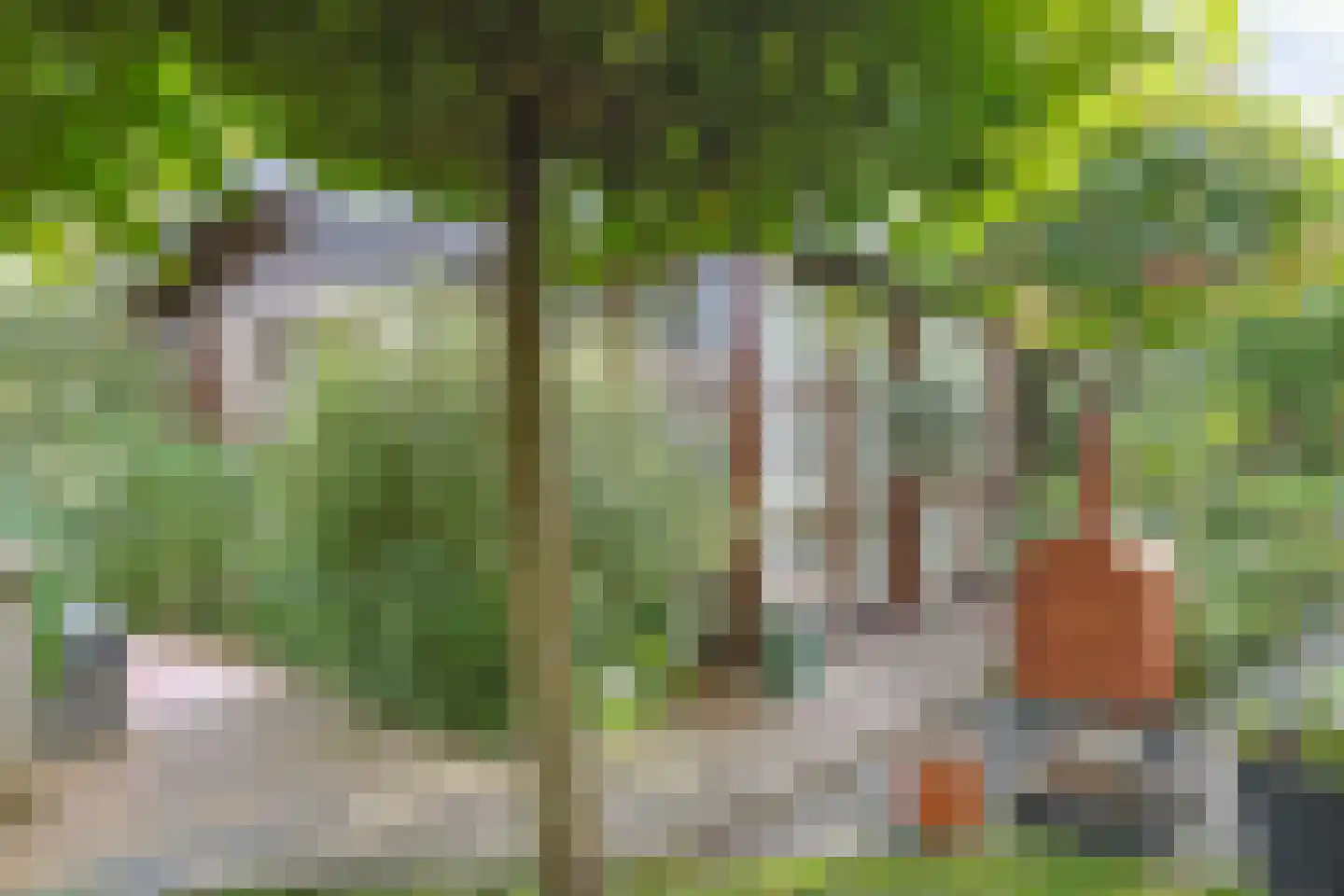 Het Korte Eind 1 22 De Kwakel thumbnail 6