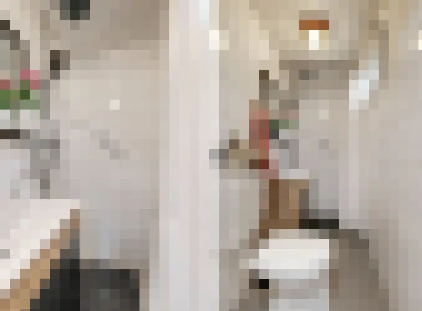 Het Korte Eind 1 6 De Kwakel thumbnail 10