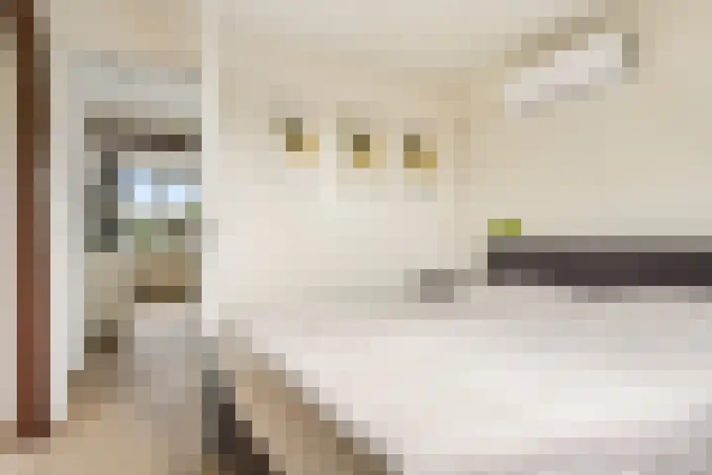 Het Kössink 11 Haarlo thumbnail 22