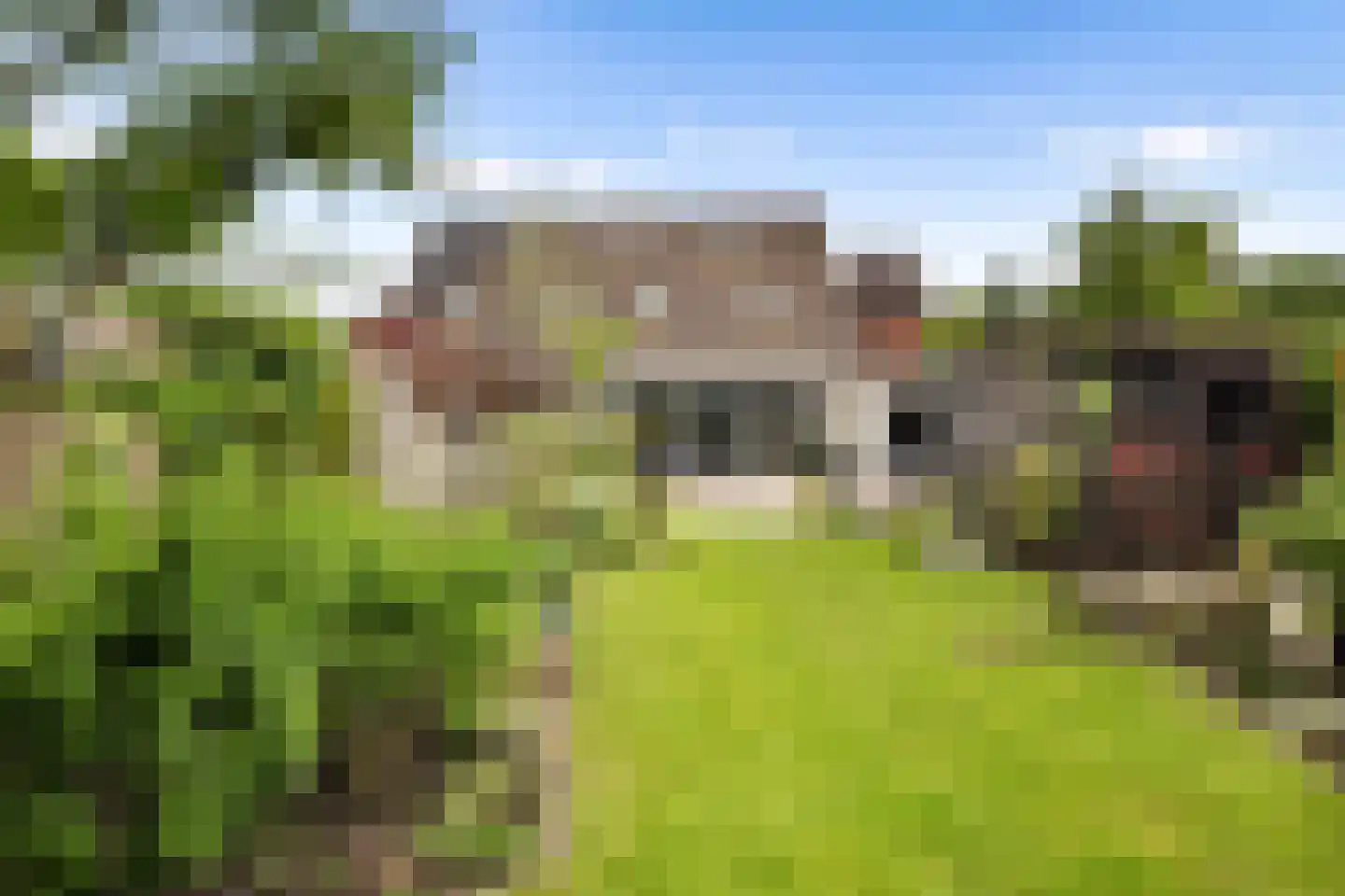 Het Kössink 11 Haarlo thumbnail 35