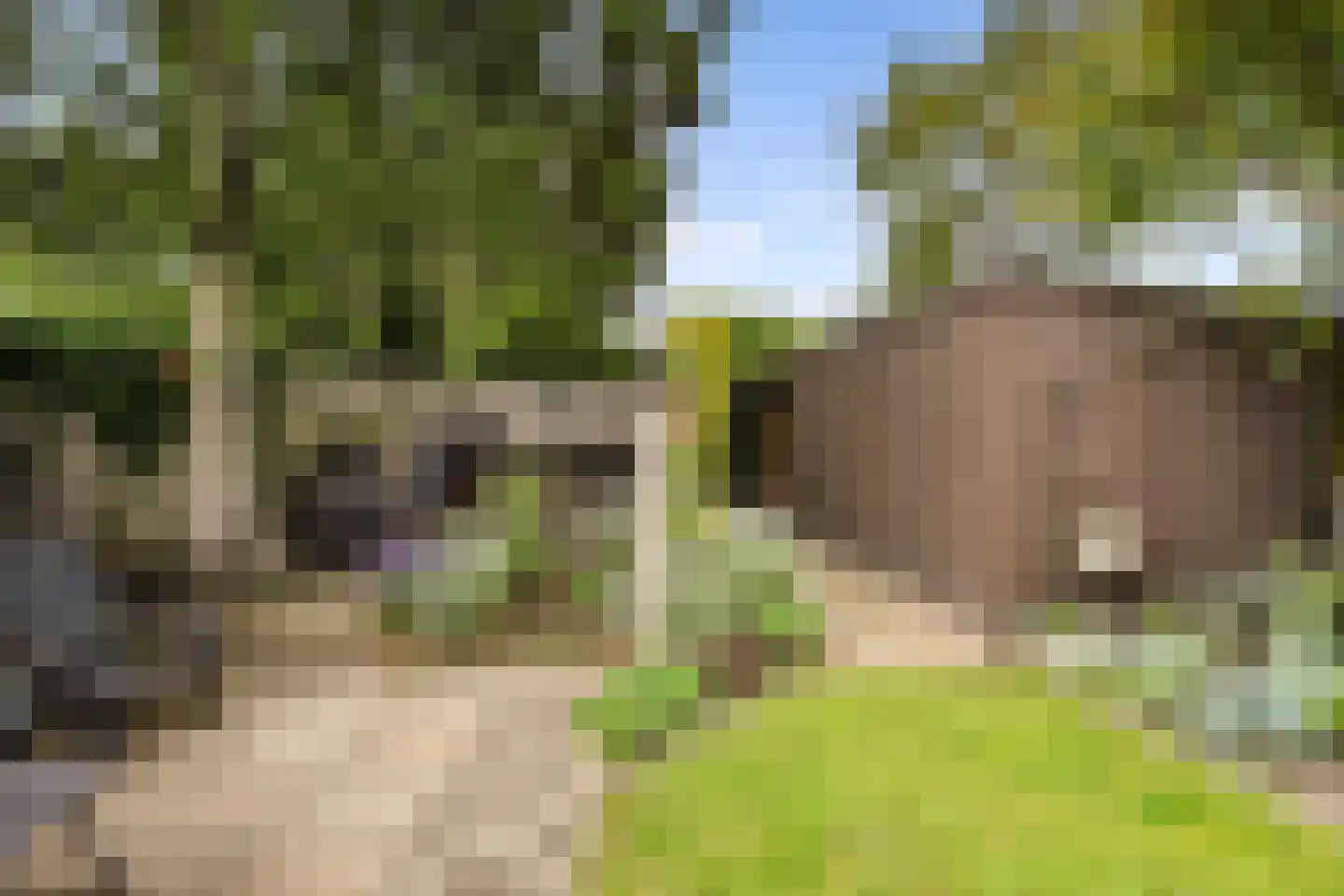 Het Kössink 11 Haarlo thumbnail 43