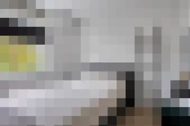 Het Kruisstuk 1 Ravenstein thumbnail 16