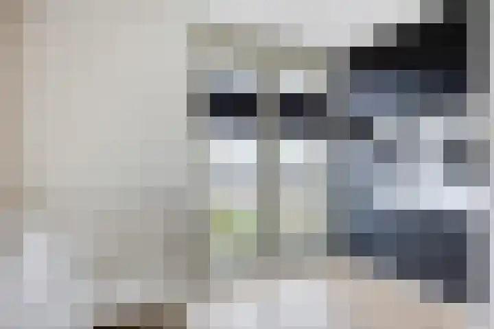 Het Kruisstuk 1 Ravenstein thumbnail 19