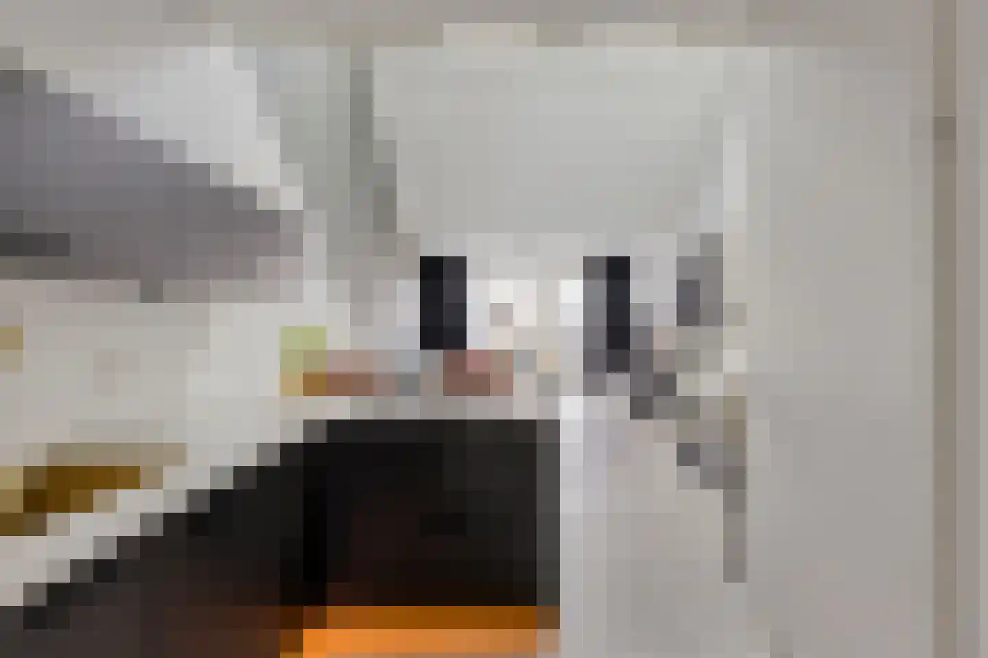 Het Kruisstuk 10 Ravenstein thumbnail 11