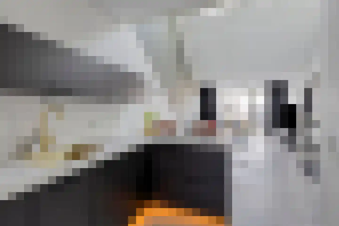 Het Kruisstuk 10 Ravenstein thumbnail 18