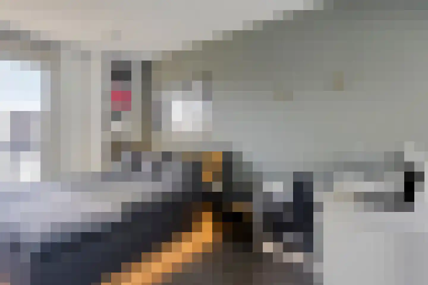 Het Kruisstuk 10 Ravenstein thumbnail 22