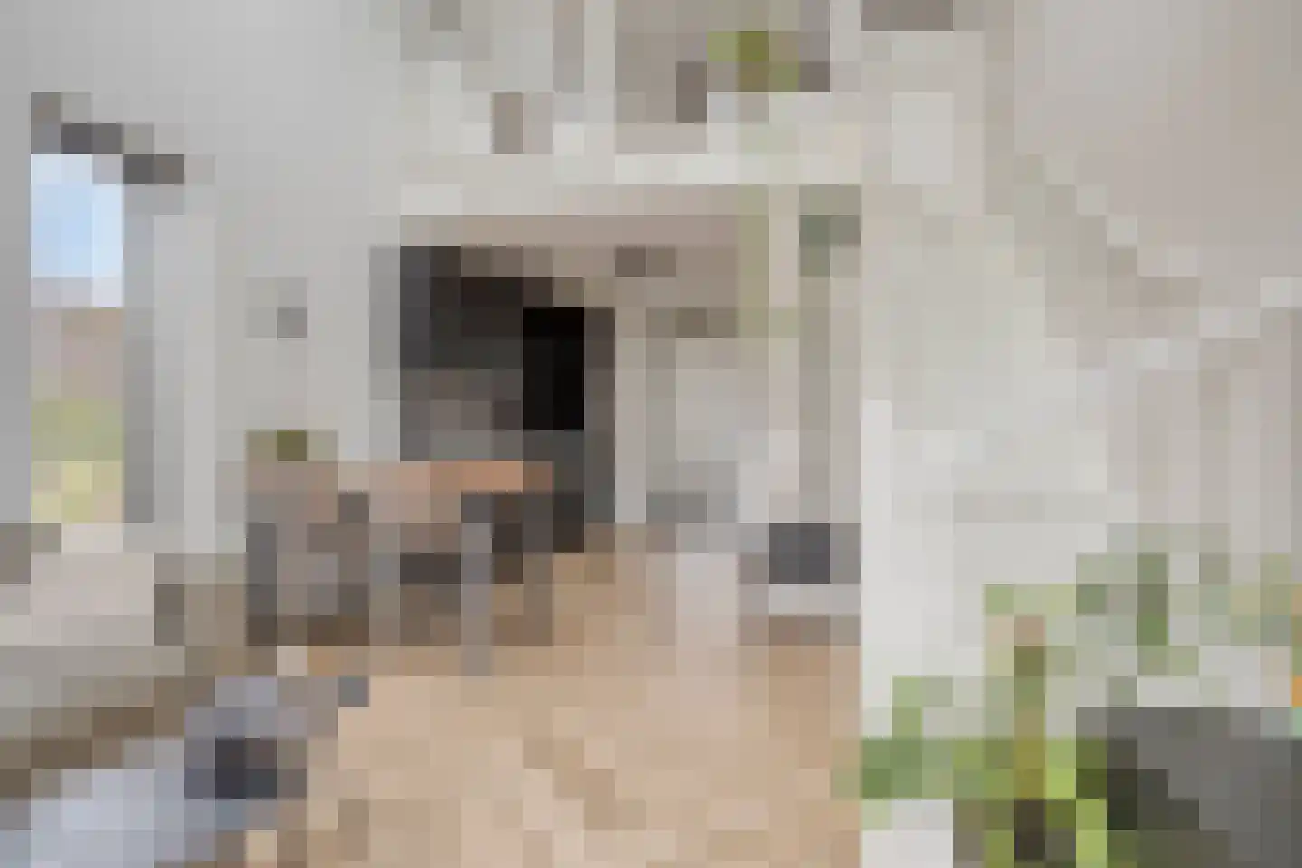 Het Kruisstuk 2 Ravenstein thumbnail 5