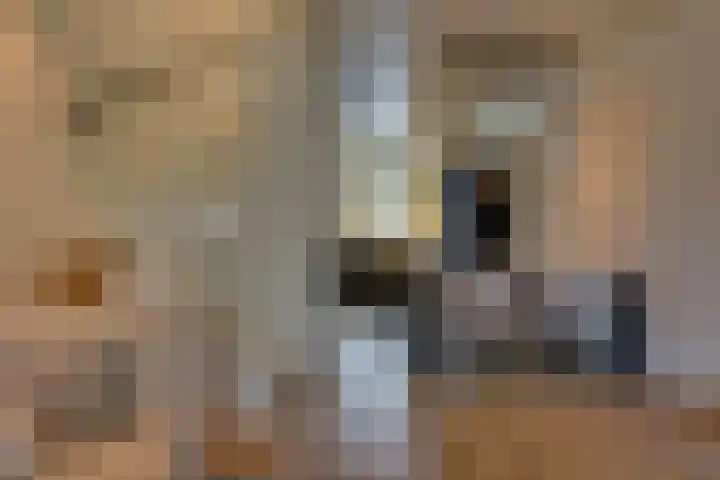 Het Kruisstuk 21 Ravenstein thumbnail 11