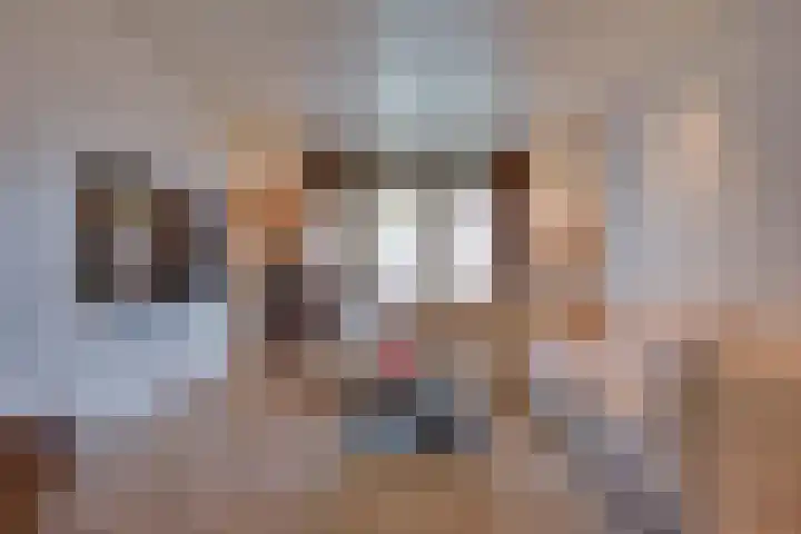 Het Kruisstuk 21 Ravenstein thumbnail 17