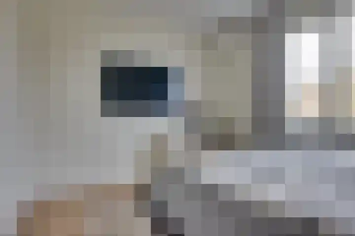 Het Kruisstuk 21 Ravenstein thumbnail 26