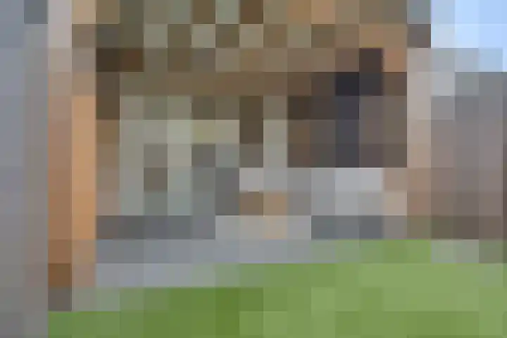 Het Kruisstuk 21 Ravenstein thumbnail 32
