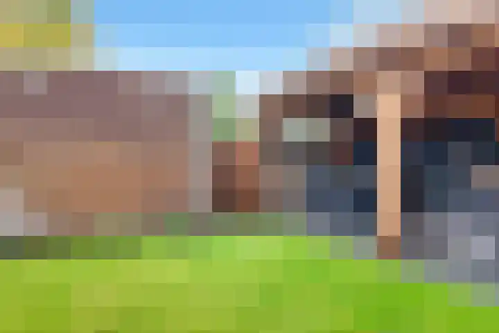 Het Kruisstuk 23 Ravenstein thumbnail 39