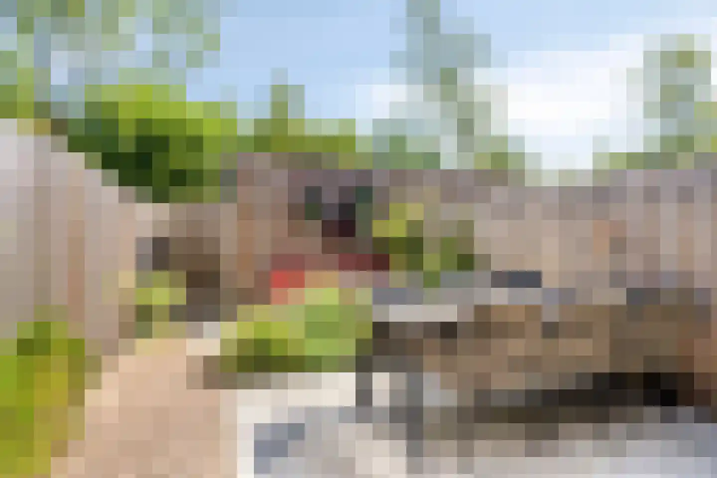 Het Kruisstuk 9 Ravenstein thumbnail 6