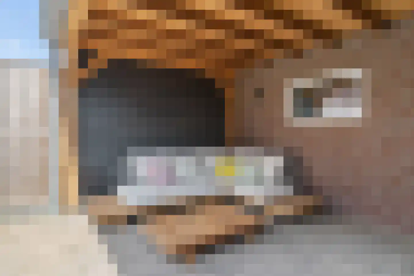 Het Kruys 18 Esch thumbnail 17