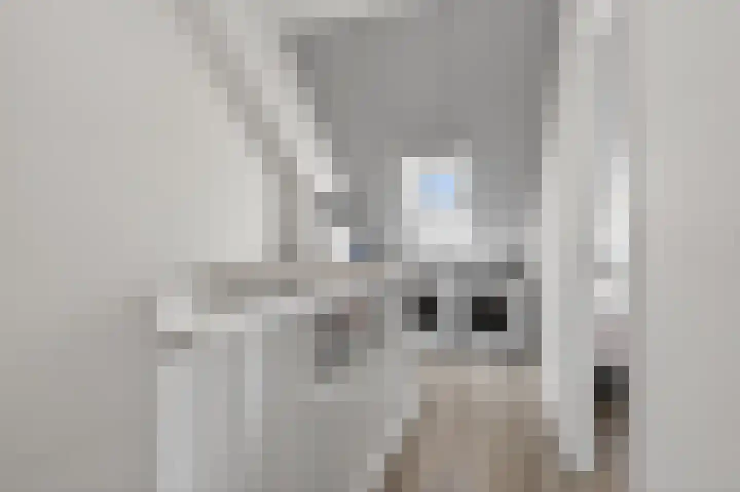 Het Kruys 18 Esch thumbnail 35