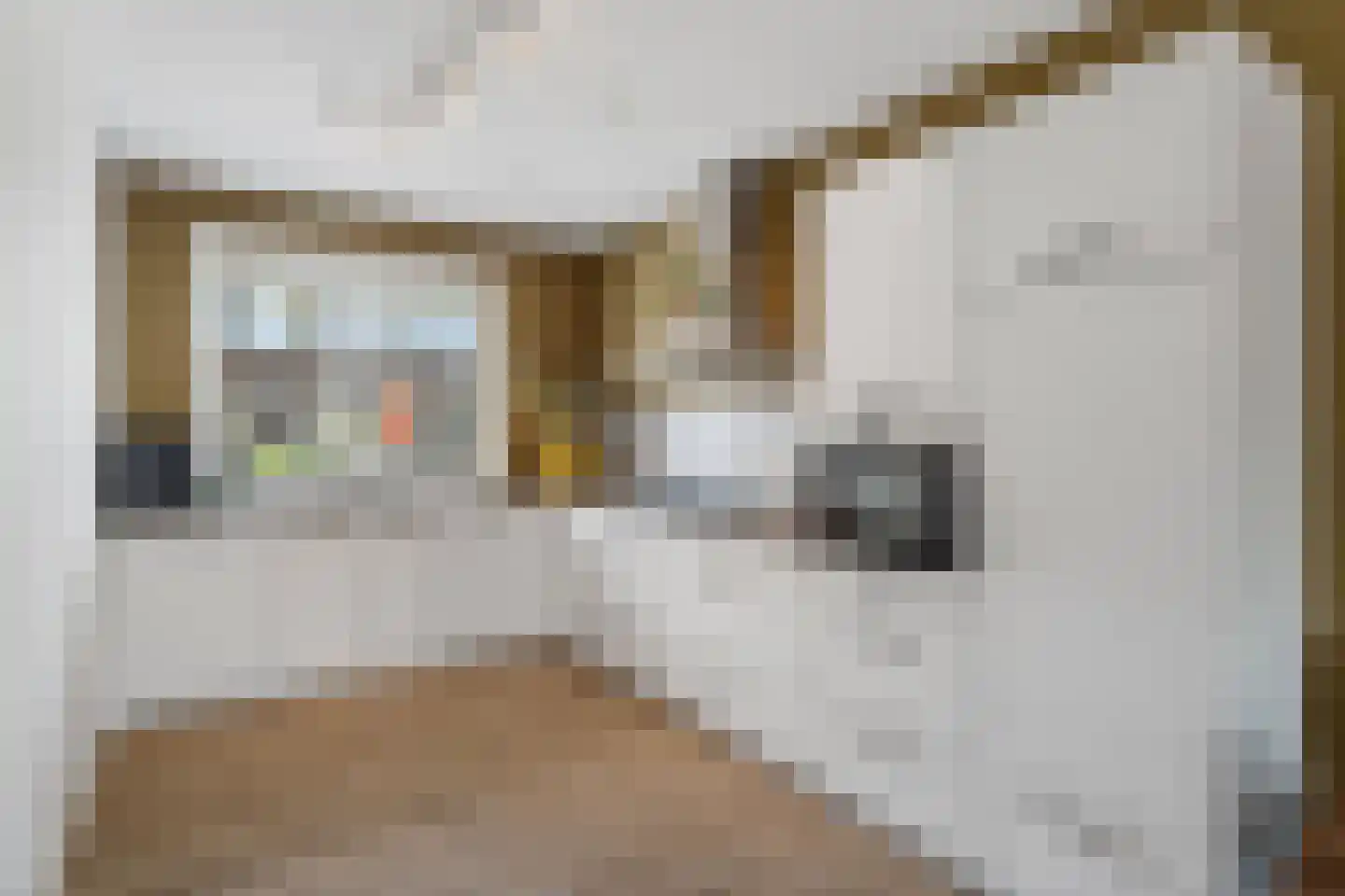 Het Kruys 18 Esch thumbnail 6