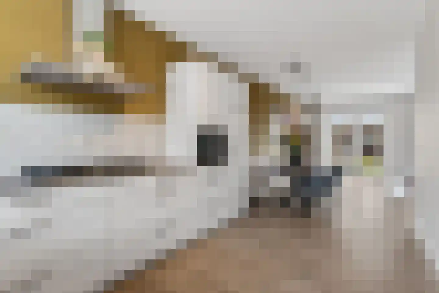 Het Kruys 18 Esch thumbnail 9
